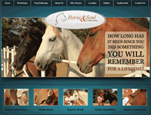 Tablet Screenshot of horseconnectionscostarica.com